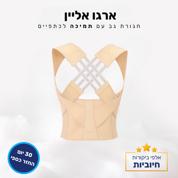 קלאוד קומפורט ארגו אליין - חגורת גב עם תמיכה לכתפיים