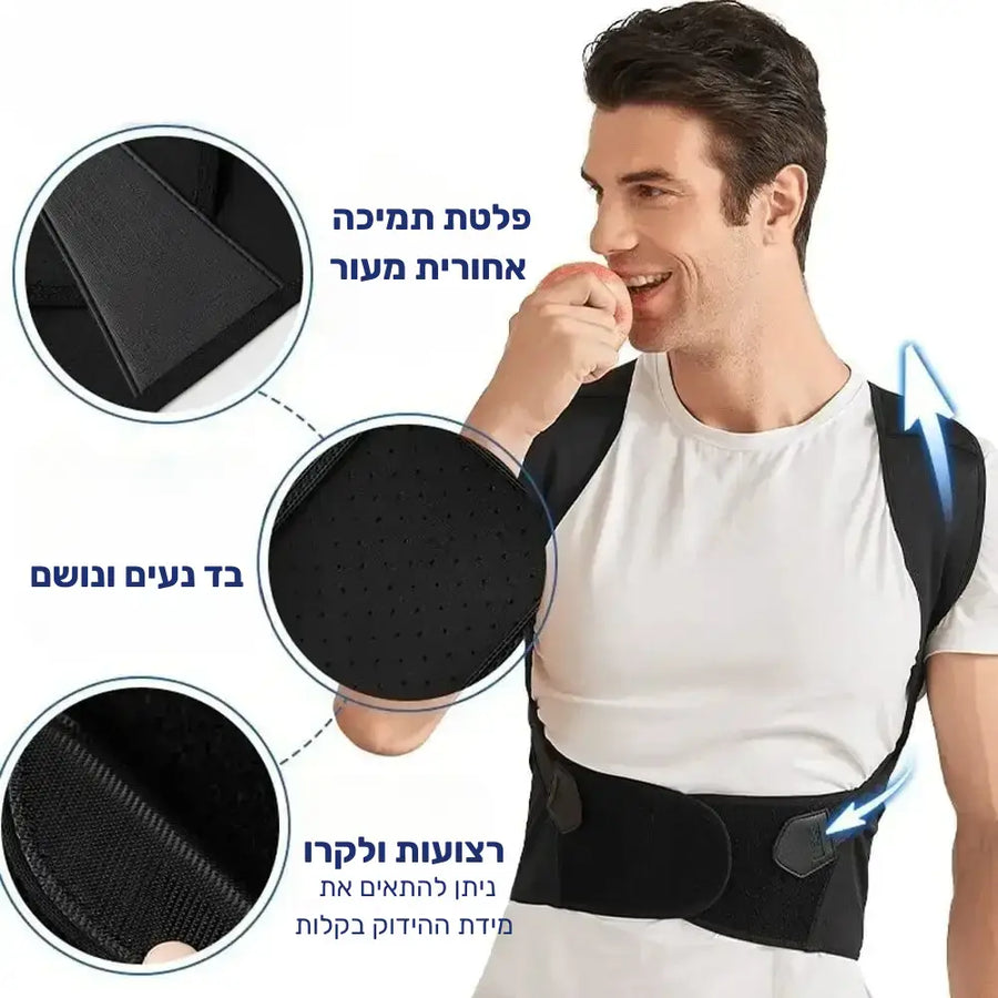קלאוד קומפורט ארגו אליין - חגורת גב עם תמיכה לכתפיים