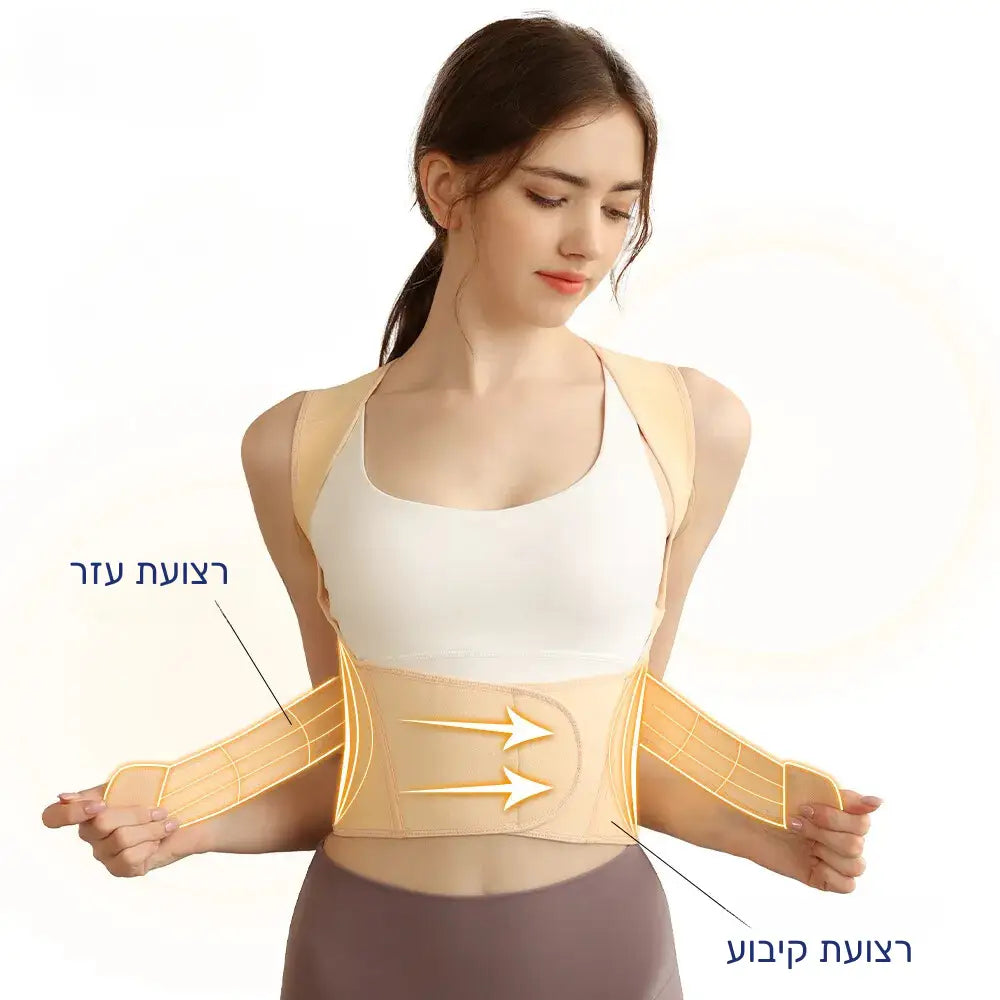 קלאוד קומפורט ארגו אליין - חגורת גב עם תמיכה לכתפיים