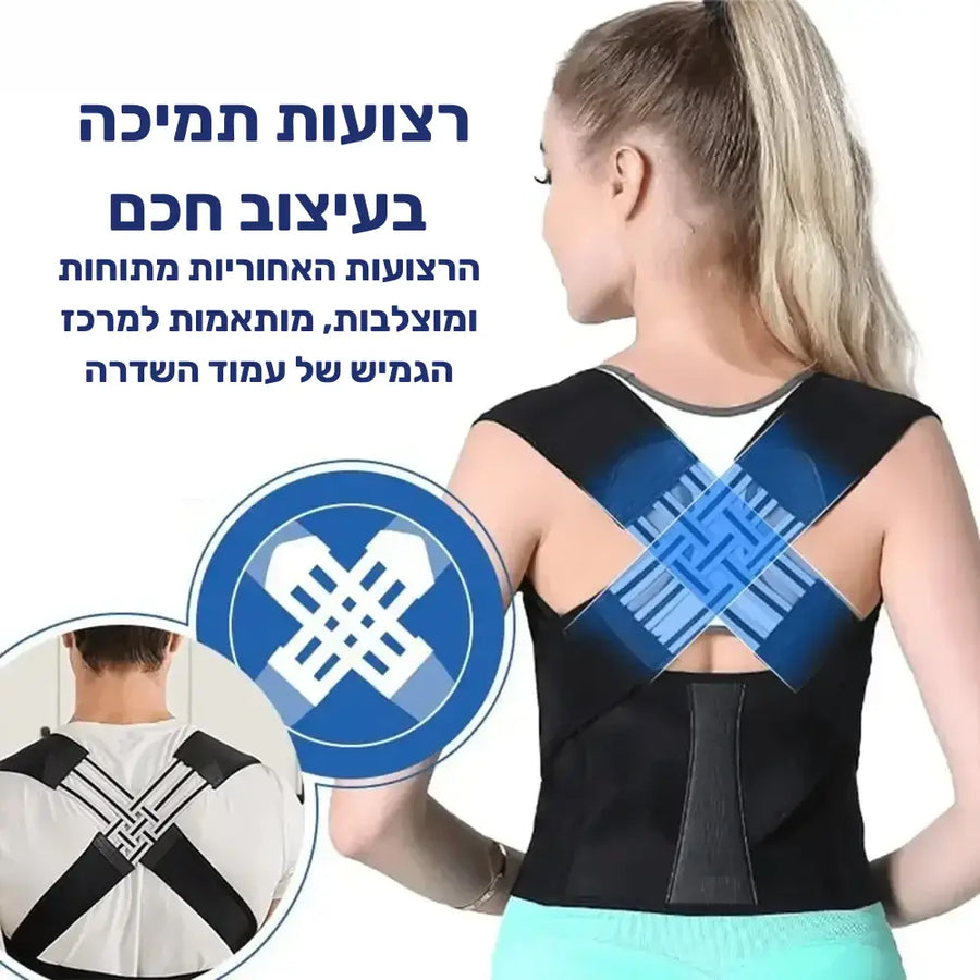 קלאוד קומפורט ארגו אליין - חגורת גב עם תמיכה לכתפיים
