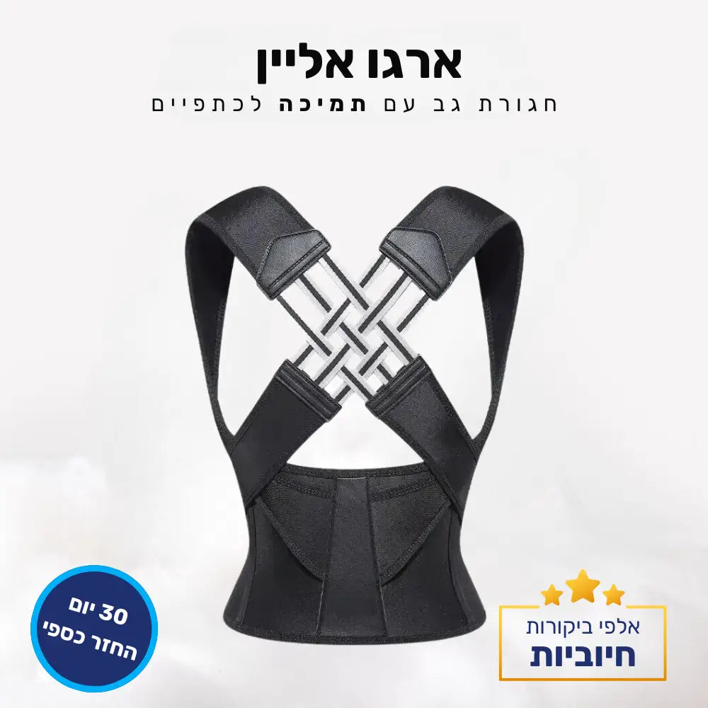 קלאוד קומפורט ארגו אליין - חגורת גב עם תמיכה לכתפיים